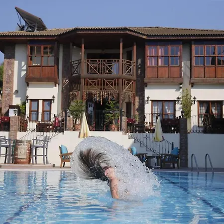 Aparthotel Festival Hotel Apart
